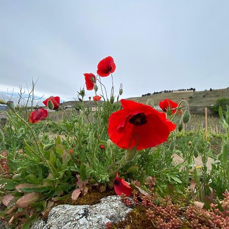 Le Pavillon De L'Hermitage - Spa Ouvert D'Avril A Octobre Tain-lʼHermitage Εξωτερικό φωτογραφία